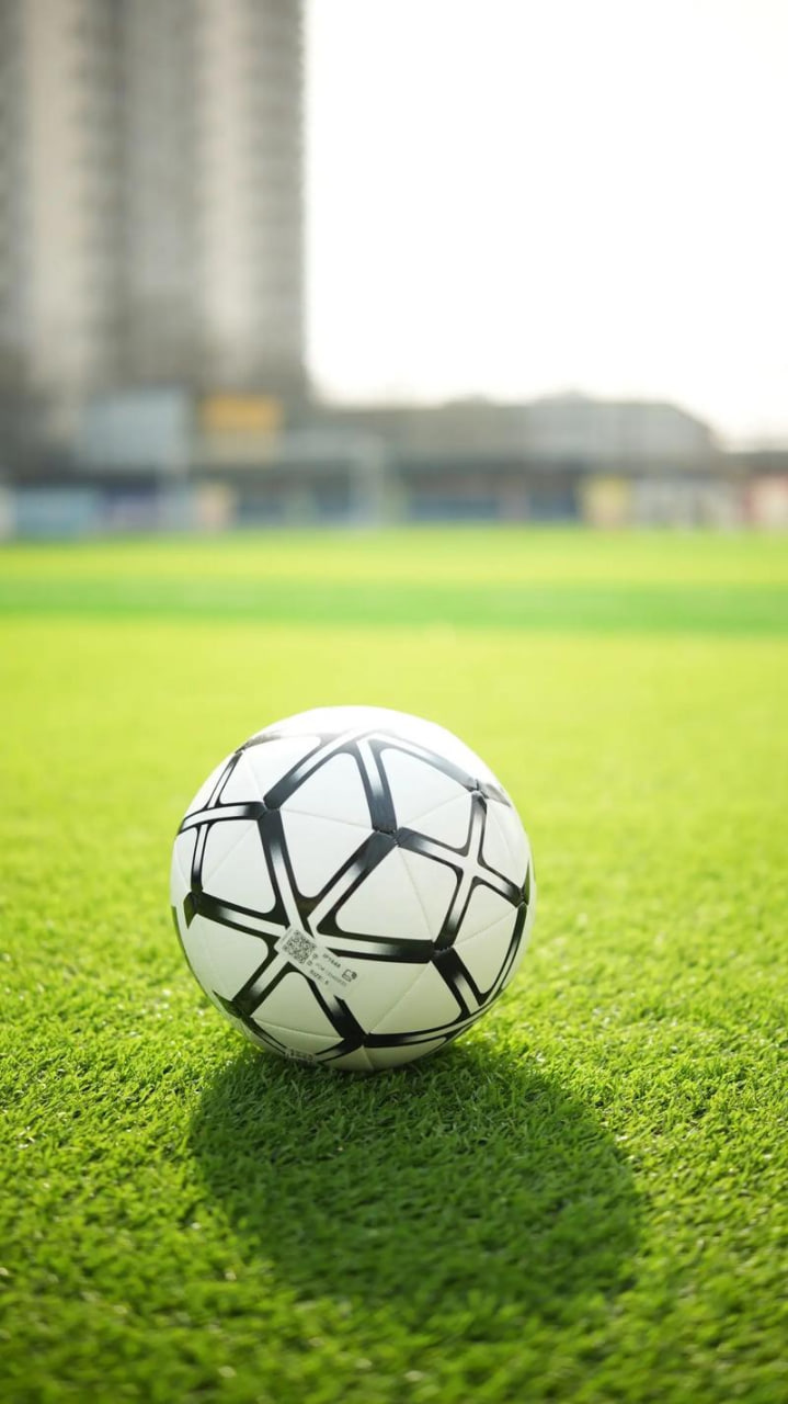 足球研究学术分析